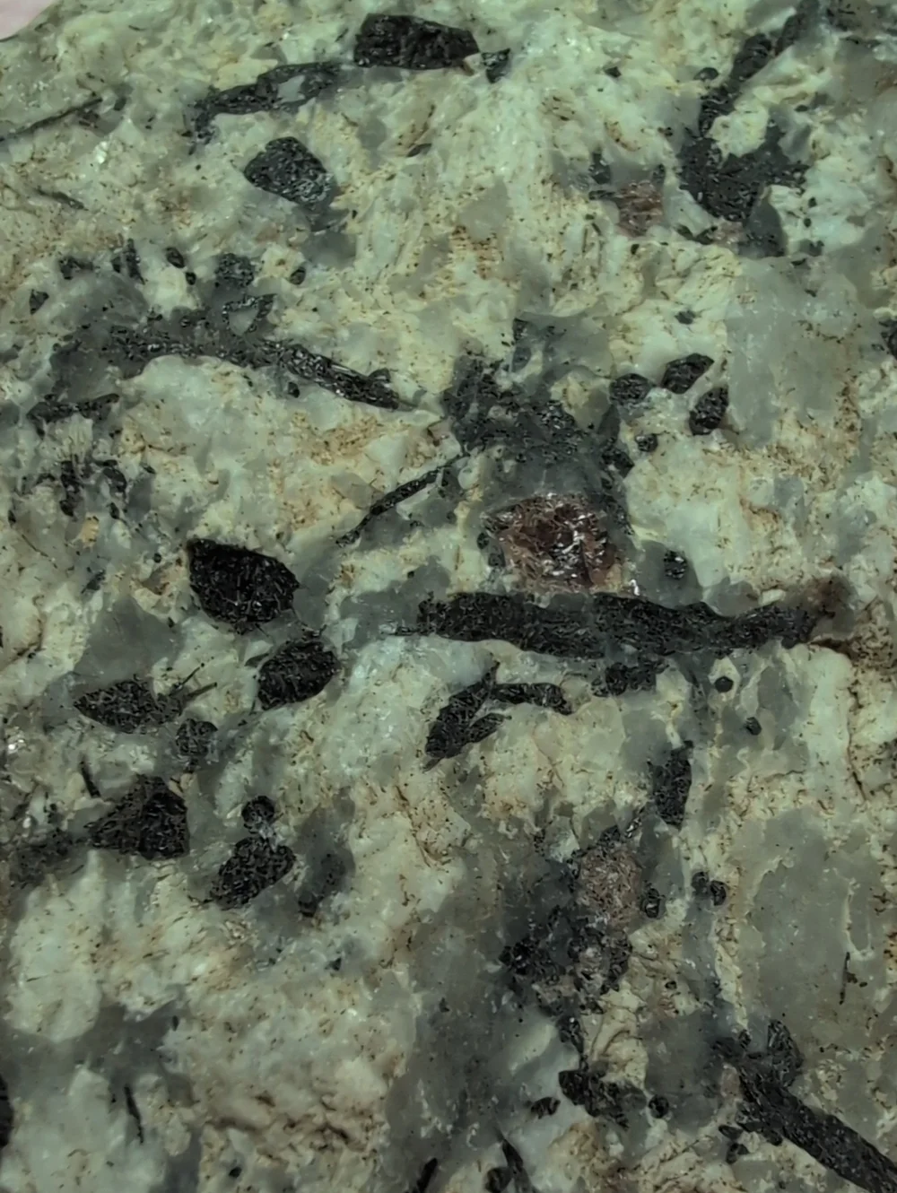 Black Tourmaline In Quartz #4